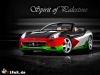 palestine-car.jpg