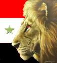 Profilbild von -Arkan-