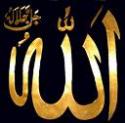 Profilbild von Nicole_Sayeh